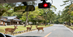 行車記錄儀日本TELEC認證:不辦它,難在日本市場立足!
